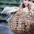 senger goose in Linen