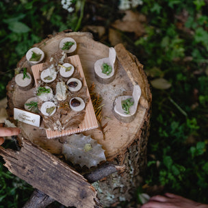 Wooden display with natural items on a grassy background