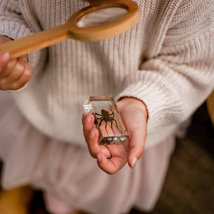 Person holding a small glass case with a spider 