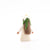 Felt Flower Fairy Edelweiss