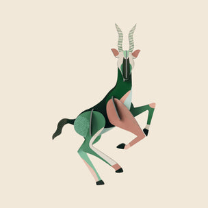 Wild Animals Wall Art | Antelope
