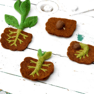 Felt bean life cycle toy 