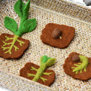 Felt bean life cycle toy 
