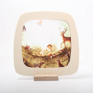 Baby Dream | Seasonal Transparency