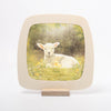 Lamb Seasonal Transparency