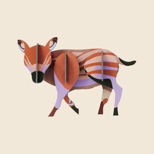 Wild Animals Wall Art | Boar Piglet