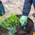 Growing Gardeners Soil Scoop (Set of 3)