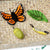 Felt butterfly, leaf, and caterpillar on a woven surface