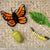 Felt butterfly, caterpillar, and chrysalis on a textured surface
