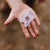Hand holding a clear cube with a preserved insect inside against a blurred natural background