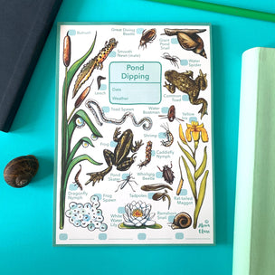 Alexia Claire | Pond Dipping Wildlife Spotting Notepad