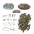 Cabinet of Owl Pellets