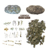 Cabinet of Owl Pellets