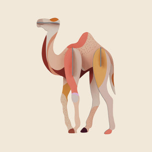Wild Animals Wall Art | Camel