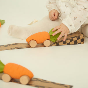 Oli & Carol Cathy the Carrot Car | Conscious Craft