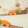 Oli & Carol Cathy the Carrot Car | Conscious Craft