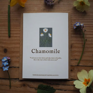 Note with 'Chamomile' text and illustration on a wooden surface with flowers