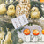A close-up of a printed fabric or wallpaper pattern featuring a woodland scene with several owls, a rabbit, mushrooms, and a small card labeled 'Beak and Feed' placed on top.