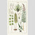 Cavallini Ferns Tea Towel | Conscious Craft