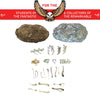 Cabinet of Owl Pellets
