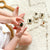 Our Earth Life | Investigative Insects Specimen Set