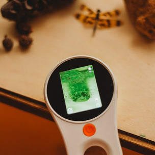 Handheld device with a digital display on a wooden surface with natural objects.