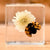 Ladybird and Flower Specimen