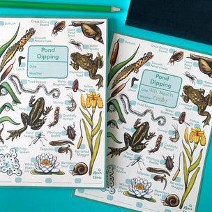 Alexia Claire | Pond Dipping Wildlife Spotting Notepad