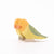 Eric & Albert Love Bird | Conscious Craft