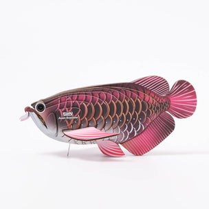 Eugy Asian Arowana Fun Cardboard Kid's Craft | © Conscious Craft