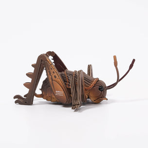 Eugy Giant Weta | Fun Cardboard Kid's Craft | © Conscious Craft