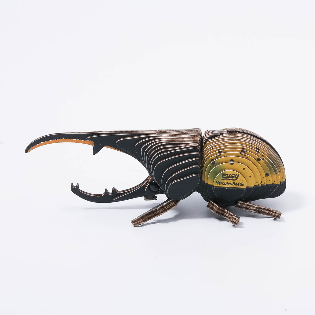 EUGY 111 Goliath Beetle 3D Puzzle - 36 Piece Eco-Friendly Educational Toy Puzzle For Boys, Girls & Kids Ages 6