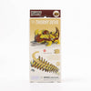 EUGY Thorny Devil  Kids Cardboard Craft Kit