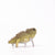 Eugy Tuatara | © Conscious Craft