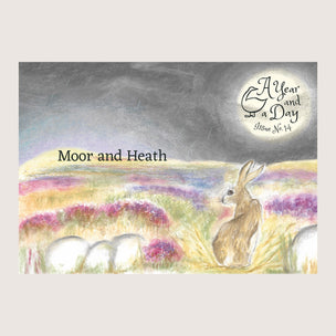 Issue No 14: Moor & Heath