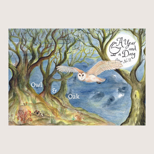 Issue No 11: Owl & Oak