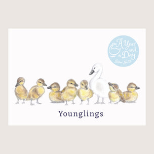 Issue No 13: Younglings