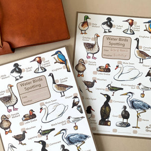 Alexia Claire | Water Birds Spotting Notepad