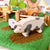 Wooden pig toy on a green felt surface with other toys in the background