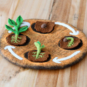 Felt bean life cycle toy 