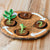 Felt bean life cycle toy 