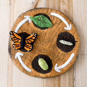 Life cycle of a butterfly felt board on a wooden surface