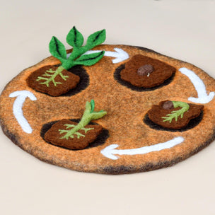 Felt bean life cycle toy 