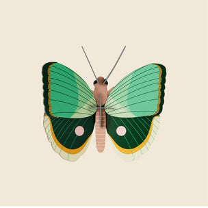 Fern Striped Butterfly