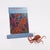 3D Greeting Card Octopus © Conscious Craft