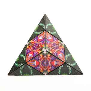 Shashibo Meow Wolf Dryer Portal Santa Fe | Magnetic Puzzle Cube | ©️ Conscious Craft