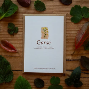 Gorse | Ogham Leaf Card