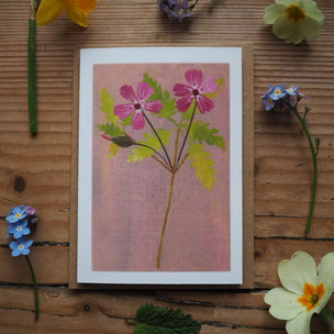 Floral illustration herb Robert on a pink background with real flowers around on a wooden surface