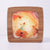 Butterfly Fairies Seasonal Transparency | ©Conscious Craft