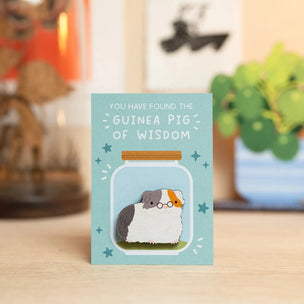 Dapple & Dot Guinea Pig of Wisdom Pin